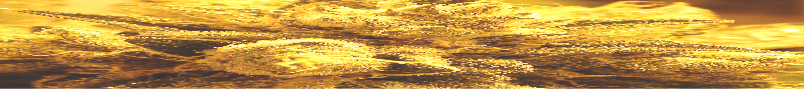 Text Box: 