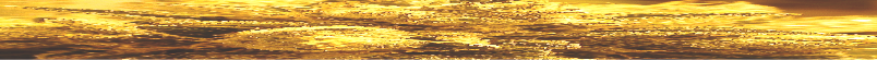 Text Box: 